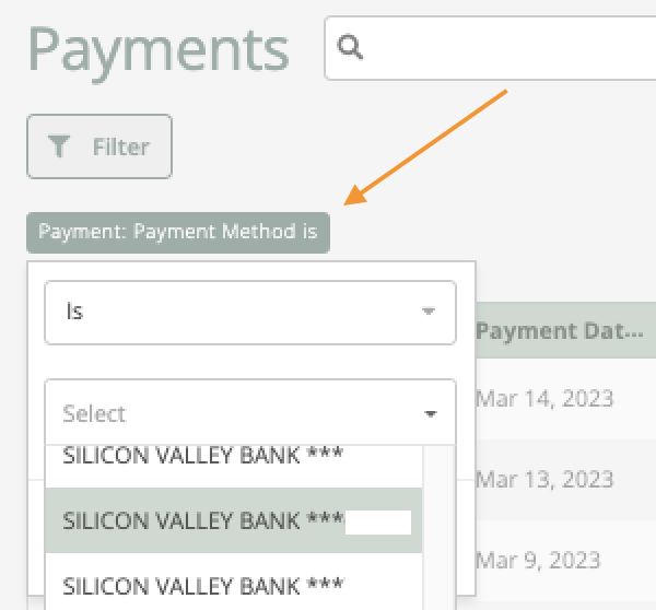 Filter_Payments.png