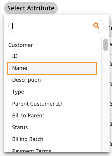 Filter_select_customer_name.png