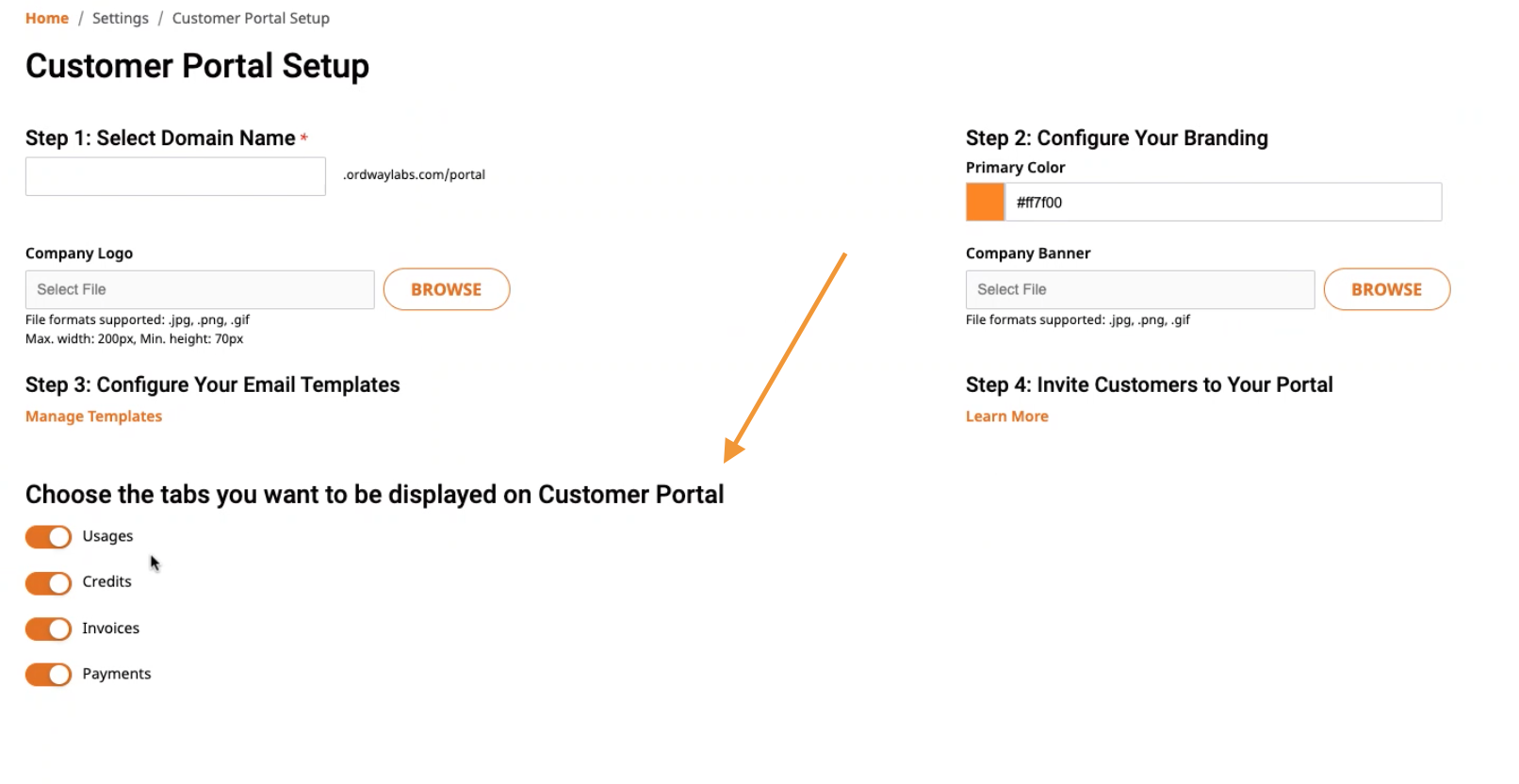 Customer Portal tab Selection.png