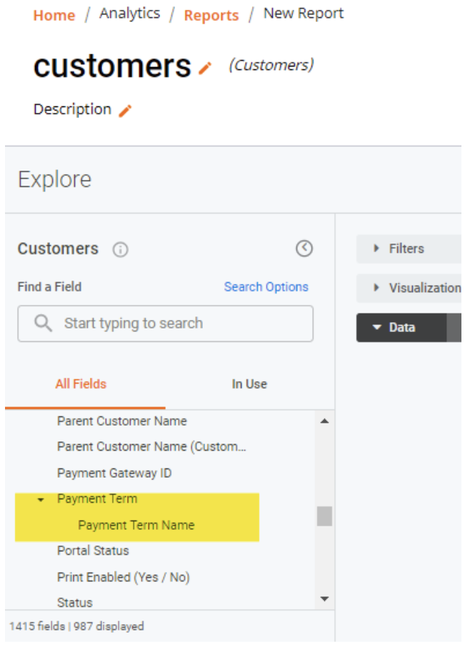 Report Payment Terms.png