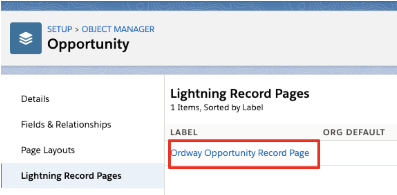Opp_Record_Page.png