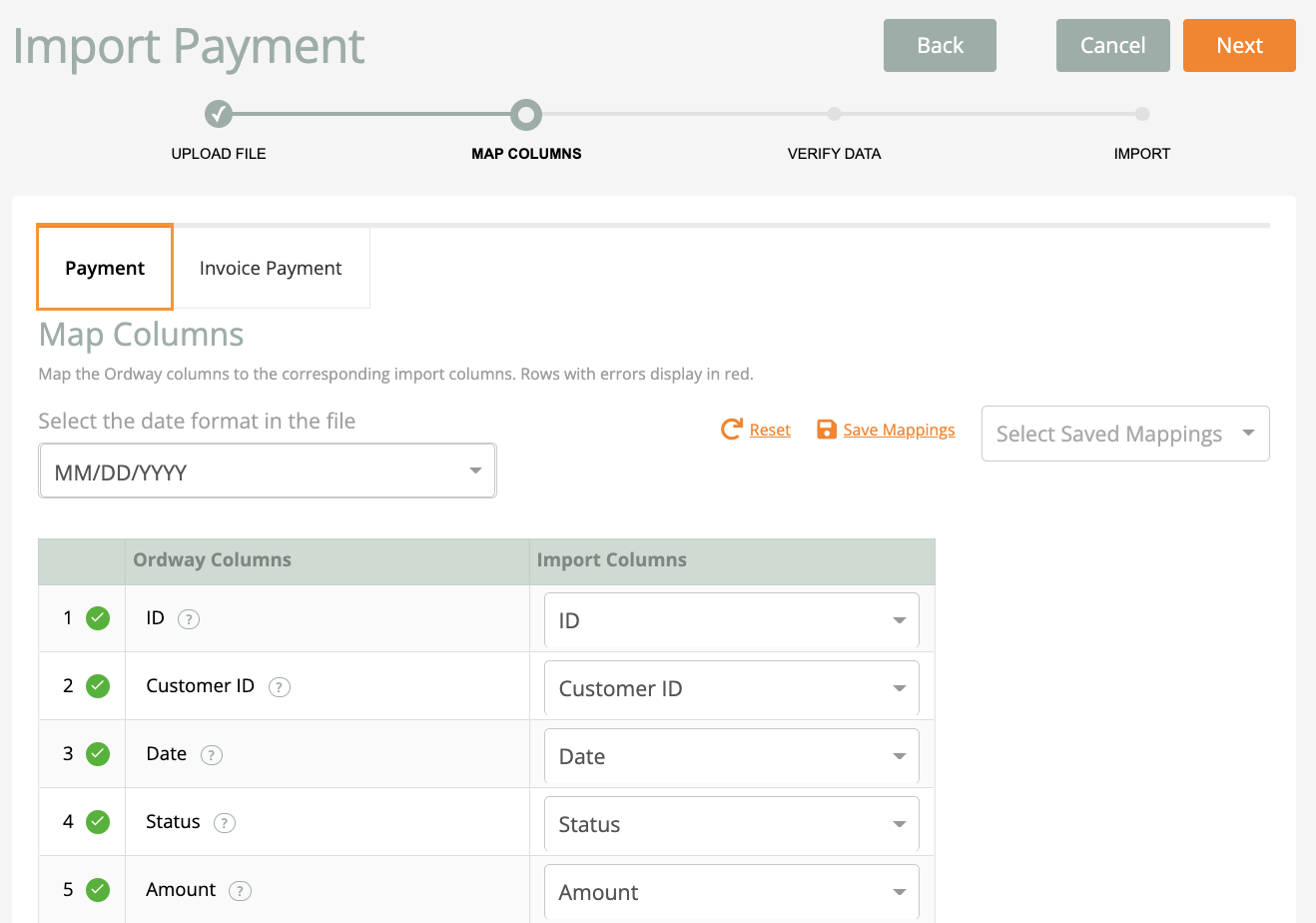 Import_Payment_Payment_Tab.png